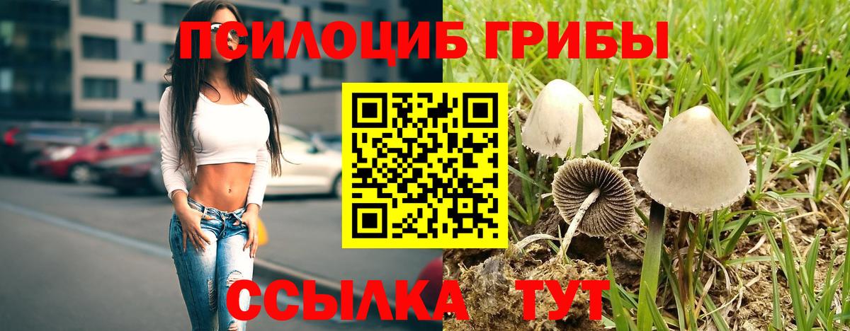 как найти   Вход с VPN  Псилоцибиновые грибы мухоморы  Белебей  Галлюциногенные грибы Magic Shrooms 